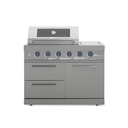 Empire Gas Grill Module