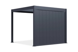 Brisoleus